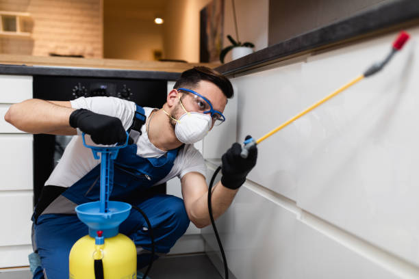  North Ridgeville, OH Pest Control Pros
