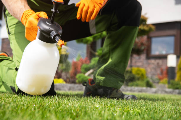 Insect Control in North Ridgeville, OH