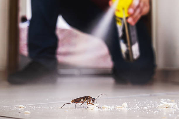 Professional Pest Control in North Ridgeville, OH