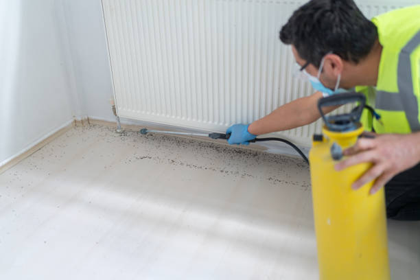 Best Cockroach Control Services  in North Ridgeville, OH