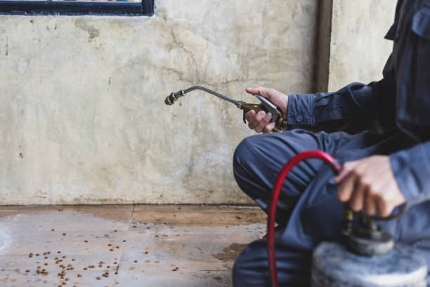Best Pest Control Near Me in North Ridgeville, OH
