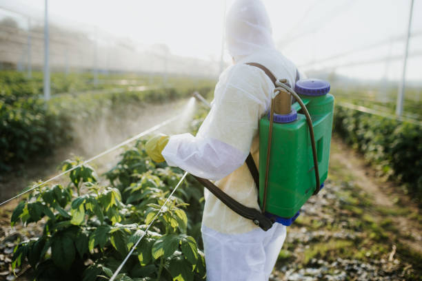 Best Mosquito Control Services  in North Ridgeville, OH
